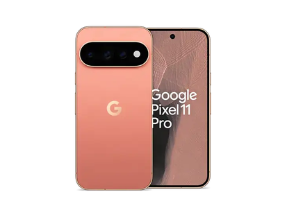 Google Pixel 11 Pro 512 GB / 16 GB RAM — Каньон